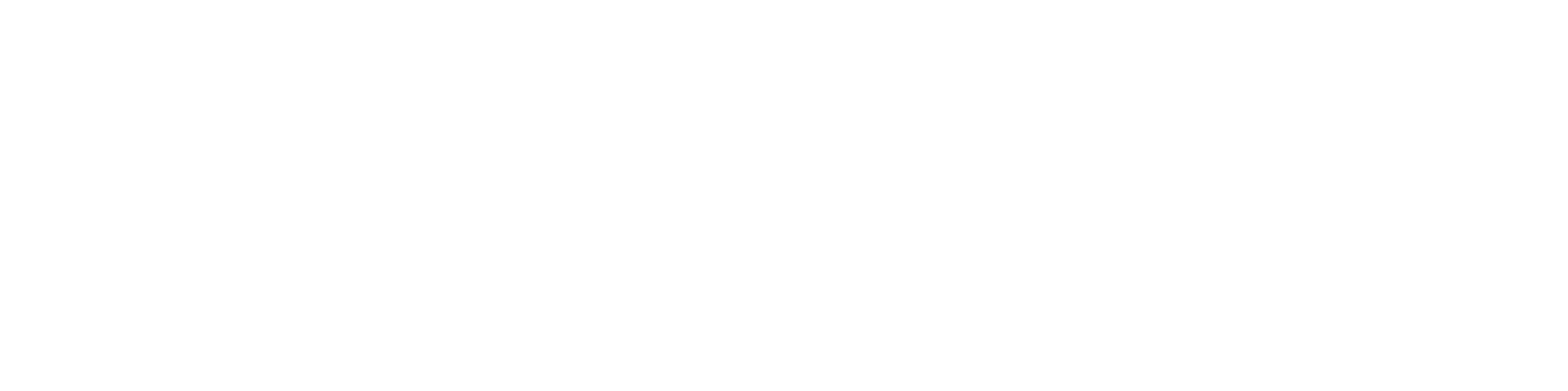 Didgefest Logo Long