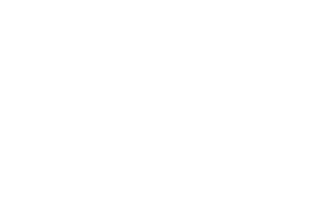 oig