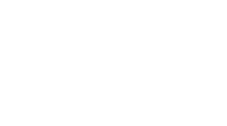 red-bull red bull